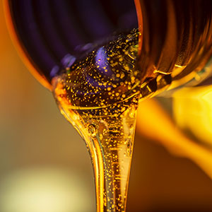 oil changes